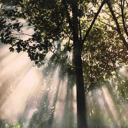 Maisonette Am Markt - Schlossblick - Wlan+netflix *